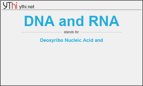 What does DNA AND RNA mean? What is the full form of DNA AND RNA?